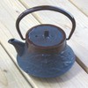 Nagao Mizusawa x Tsubame Sanjo Nanbu Teapot, Yamasui, 6.3 fl