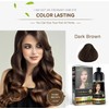 Herbishh - Champú colorante para cabello gris, champú con tinte