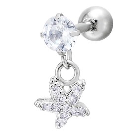 Women's Stainless Steel Solitaire Cubic Zirconia Stud Earrings Dangle with Zirconia Star Screw Back 1 Pair, Stainless Steel, Cubic Zirconia