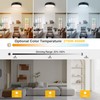 Kalium 13" Flush Mount Ceiling Light Fixture with Remote,24W Dimmable
