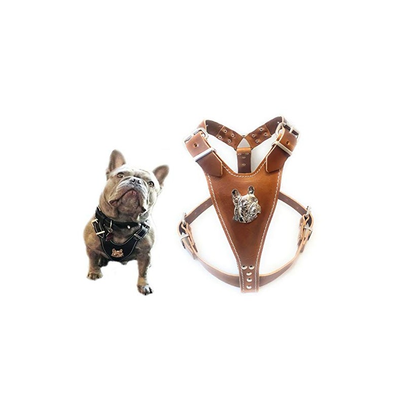 Beautiful Brown Leather Dog Harness Medium Size with French Bulldog