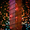 ‎Novelty Lights 11FT 50 LED String Lights, Permanent Led Light