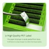 Extensiones De Pestañas Fan Forma W 7d W Shaped Premium
