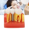 Dental Implant Teeth Model, Dental Implant Analysis Crown Bridge Model,