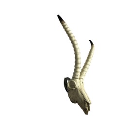 Hi Flame Skull Hook Trophy Mount Perfect Kit for Hanging and Mounting Taxidermy Deer Antlers and Other Skulls for Display Skull Hanger Powder Coating (Black-3)