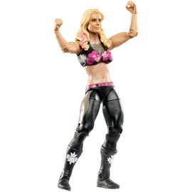 WWE Superstar Toy - World Wrestling Entertainment 6 Inch Action Figure - Natalya