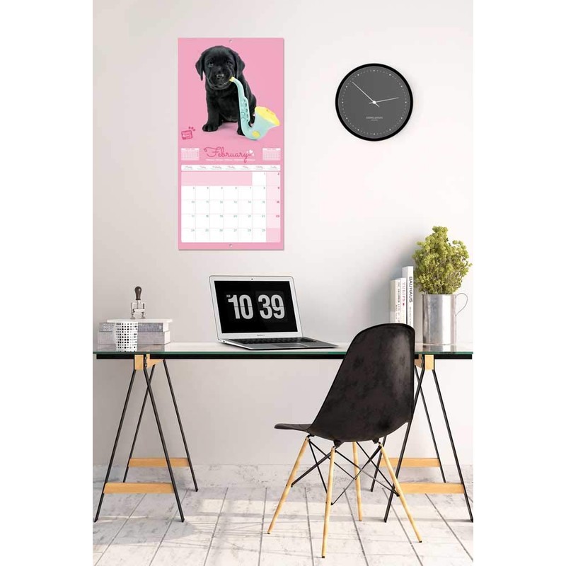 ERIK - Studio Pets Lab 2020 Wall Calendar, 16 Months,