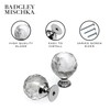 Badgley Mischka Crystal Knobs/Pulls for Cabinets, Dressers, Kitchen, Drawers, Vanity