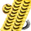 FADLASH Natural False Eyelashes Wispy Lashes 𝟏𝟎 𝐏𝐚𝐢𝐫𝐬 Cat Eye