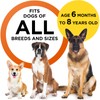 2024 Dog Bark Deterrent Device, Anti-Bark Device for Dog Training