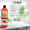 Shampoo Secreto Herbal Anticaída Y Fortalecimiento Chile 1 L