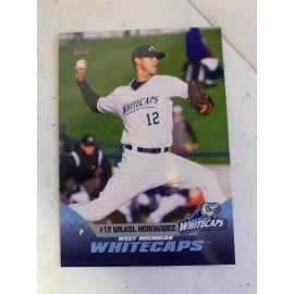 Wilkel Hernandez 2019 West Michigan White Caps Team Card