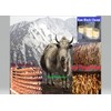 Snow Hill Himalayan Yak Cheese Dog Chews for Large Breed