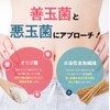 BISERA Nature's Laboratory Short Chain Fatty Acids Lactic Acid Bacteria