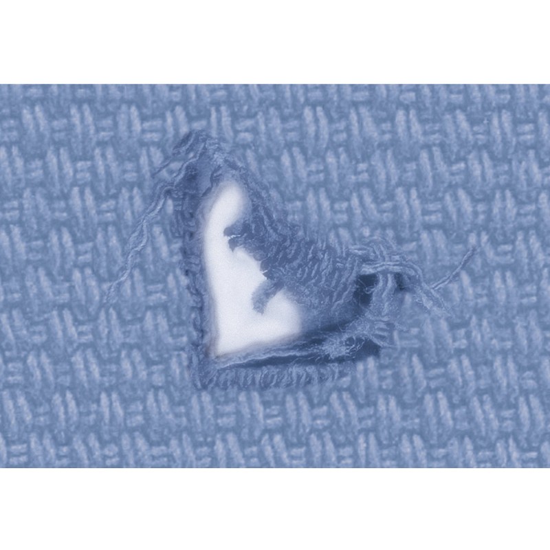 Wenko 4880022100 Fabric Fix Powder Plastic 22 g, Diameter 4