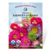 The Old Farmer's Almanac Aster Seeds (Powderpuff Mix) - Approx