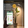 GLOWRIUM Grow Lights for Indoor Plants, 24W Full Spectrum LED
