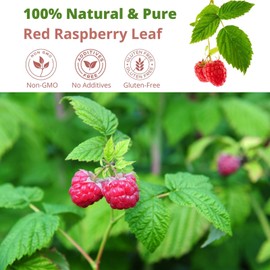 Red Raspberry Leaf Tea Pregnancy, 60 Count, VitalForest Natural Raspberry Tea Bags for Women’s Health – Period Healthy Cycle Tea – Vegan & Gluten-Free, Caffeine-Free, Non-GMO