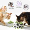 Juguetes de Hierba para Gato, Comestibles Juguetes Masticables Natural para
