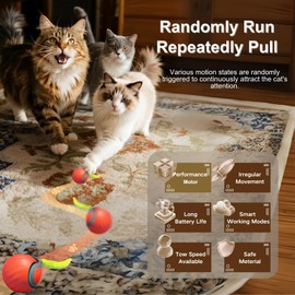 Kalaxy47 Interactive Cat Ball for Indoor Cats - Dual-Speed Automatic Rolling Ball Toy with 90Min Run Time, 2 Plush + 2 Feather Tails, Energetic Cat Chase Exercise, 2-Pack Blue and Orange