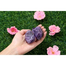 GUJOXILA Amethyst Large Crystals Rough Stone 2 Pieces Natural Stone Amethyst Stone Natural Crystal Purple Stones Premium Water Stones Energy Stones Reiki Decor Esoteric Gifts 4.5-5.5cm
