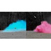 Gender Reveal Skeet Shooting Target Filled with Pink or Blue