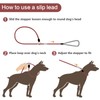 Strong Slip Lead Dog Leash, Heavy Duty Nylon Dog Training