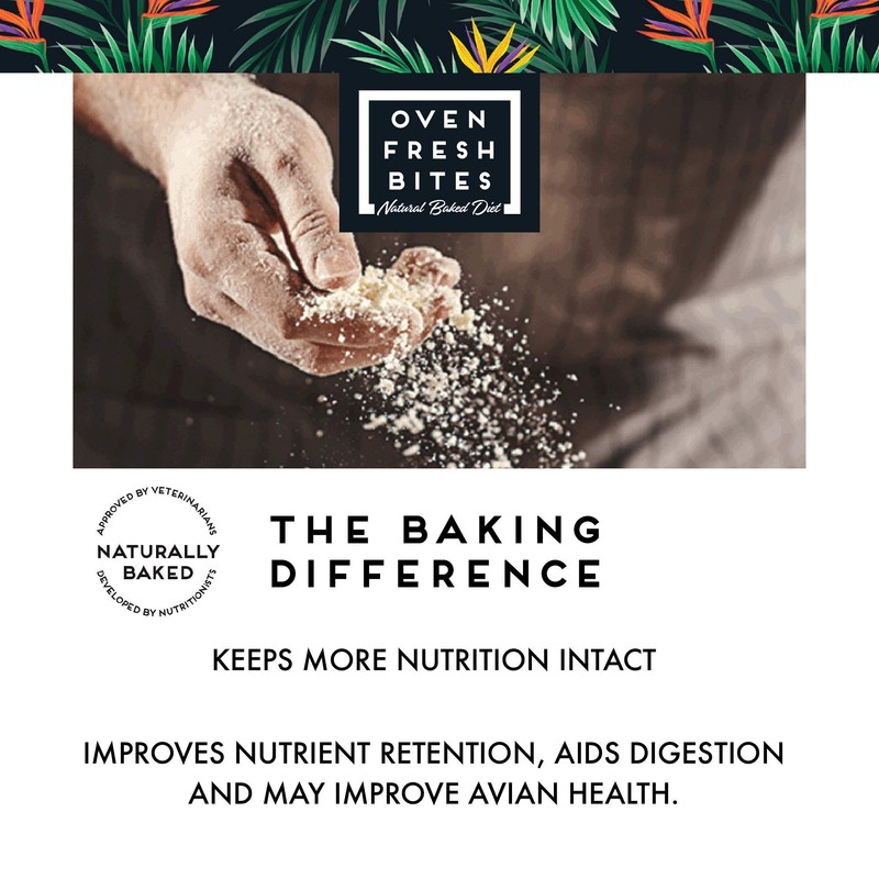 Oven Fresh Bites Baked Birdie Munchies Corn Fritter Treats, 4