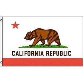 California Flag CA State Banner Pennant 2x3 foot indoor outdoor 24x36 inches New
