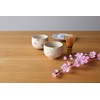 World Create, Inc. Pink Matcha Bowl: Φ3.7 x H3.0 inches