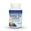 Planetary Herbals Slippery Elm Tangerine Lozenges, Herbal Throat Support, 100