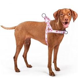 haoyueer No Pull Dog Harness for Easy Walk, Floral Pattern Female Safety Nylon Training Collar for Puppy Small, Medium, and Large Dogs (Roses, M)