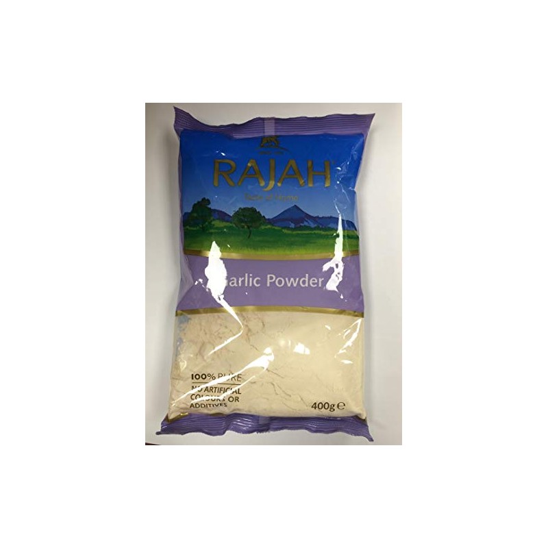 RAJ GARLIC POWDER 400G