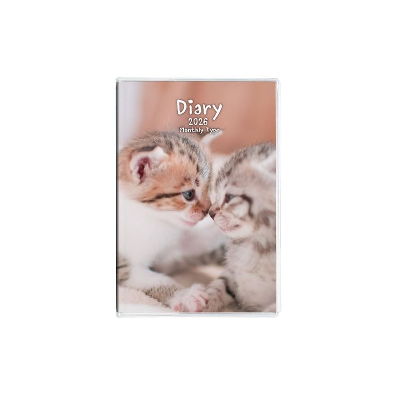 Nakabayashi NS-A601-26CA3 Notebook, 2026 Note Diary, A6, Cat 3