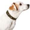 HUNTER Solid Education Special Dog Collar, Leather, Robust, Supple, Handbraided,