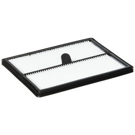 Electrolux Pure i8/Pure i9/Motionsense Filter, White EFR1