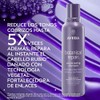 Aveda Botanical Repair Purple Toning Shampoo Fortalece el cabello