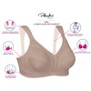 Playtex Women's Wireless Bra, Basic Signature Berry, 40DDD