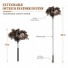 Extendable Ostrich Feather Duster 17–40 Inch, Fluffy Long Handle Reusable