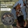 BiPawTi LED Light Up Dog Harness for Safety Night Walking,