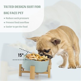 SPUNKYJUNKY 15° Slanted Ceramic Dog and Cat Bowl with Wooden Stand, Tilted Bulldog Food and Water Bowl No Slip Non-Spill for Cats Medium Dogs Big Face Pets 28.7 OZ (3.6 Cups, Morandi Green)