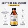 Hebbe - Aceite de Chabacano 100% Puro, Hidratante y Antiinflamatorio