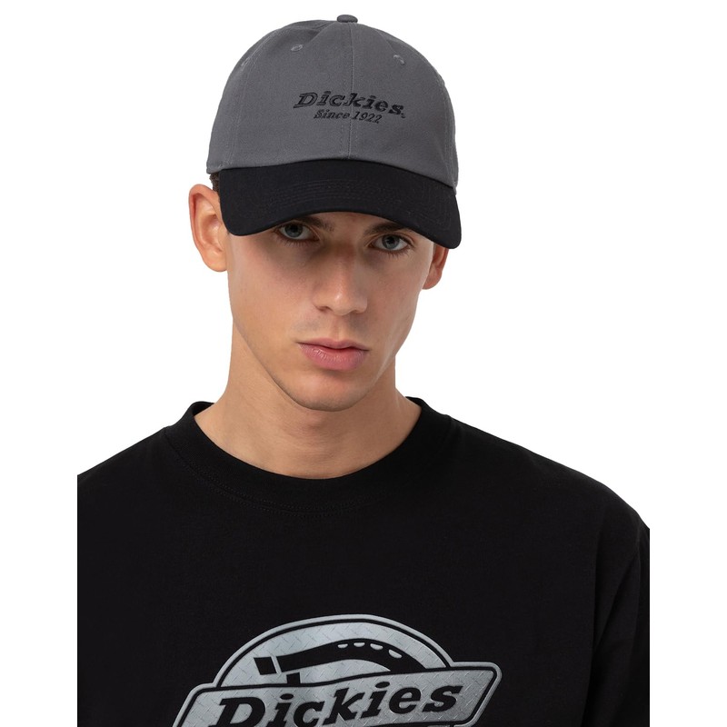 Dickies, Unisex, TWILL DAD HAT, GRAPHITE, OS