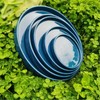 Fzfeiyy Ceramic Plant Saucer 5 Inch, 2 Pack Round Plant