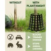 Plant Knight Tree Sapling Protector – Plant Cages to Keep