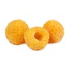 Anne Golden Raspberry Plants-Bare Root Canes–Sweet Tropical Flavor-Certified Disease &