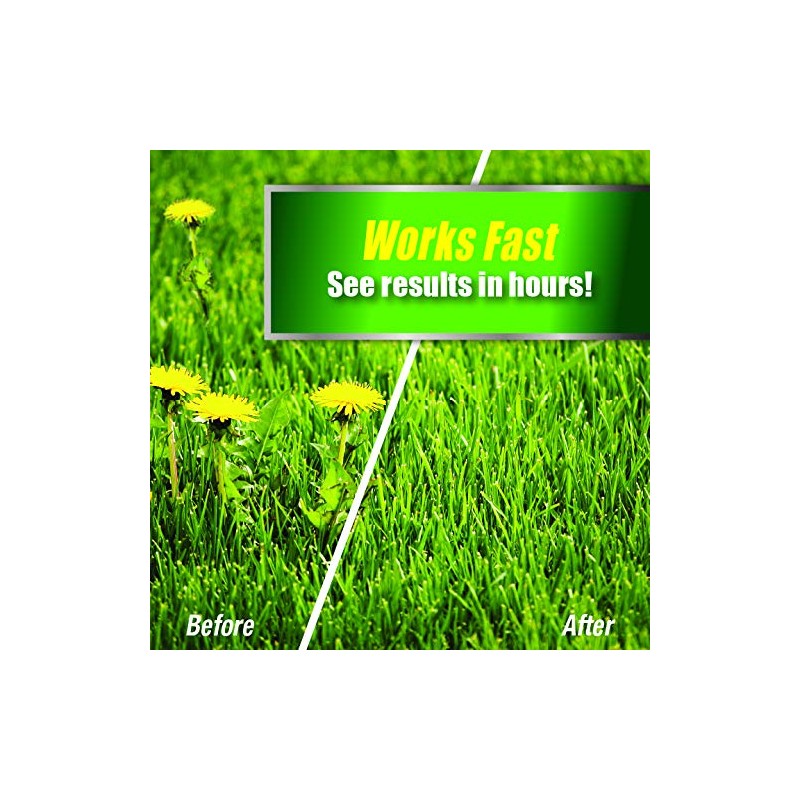 Weed Killer for Lawns Ready to Use