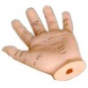 Acupuncture Human Hand Model 13cm