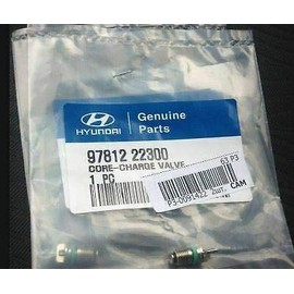 GENUINE HYUNDAI VELOSTER 2014-ONWARDS CORE - CHARGE VALVE