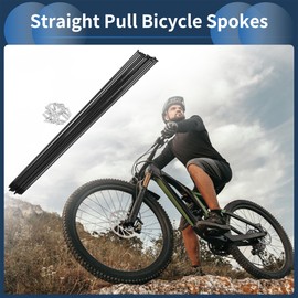 INFINAUTO 20 Set 14G Straight Pull Bicycle Spokes 291mm Straight Pull Bike Wheel Spokes Carbon Steel Black